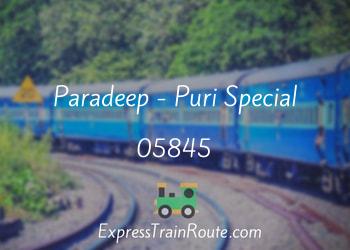 05845-paradeep-puri-special